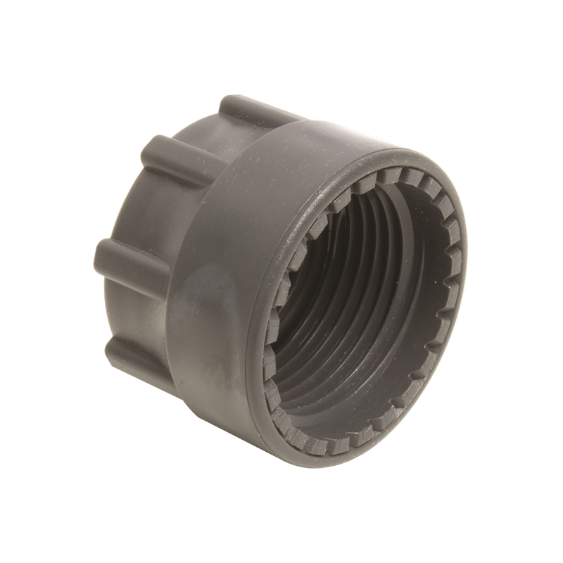 ריין קורד כיפה